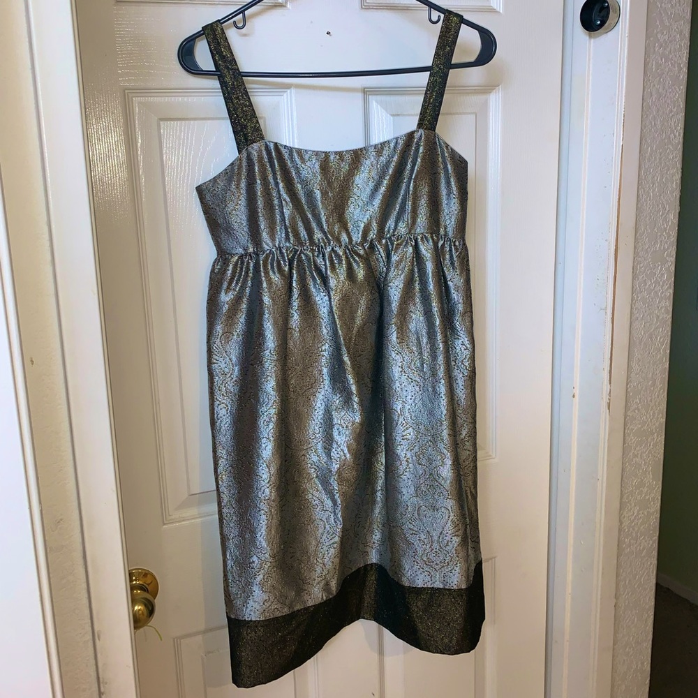 Size 2 Anthropologie wendykatlen shimmer dress
